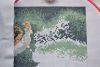 3.thumb.JPG.d360fdc7e15022d1f3ee701478ba2390.JPG