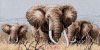 Dimensions 35012, Слоны (Сила спокойствия, Power of the Serengeti)