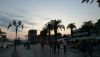 39.thumb.JPG.365653f5dedb8661a7ad76b9b9a87a78.JPG