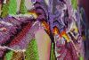 494426A4-C1A2-45BD-8AFE-3BD60957F396.jpeg