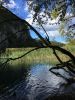 5bd2119c16f54_9.thumb.JPG.76b65b3fa118bc7009b6c9a0b6a72fac.JPG