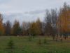 5bd6242abdc9c_-3-27--1-53.thumb.jpg.e8a3eef915600aae9771c7ce99d14333.jpg