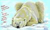 71_sleeping_white_bear.thumb.jpg.0a1b1a68a4e26e8ccb7f8354bc1f2a85.jpg