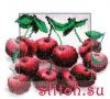 7314.thumb.jpg.320c98d1701a92f66c30089f28df482c.jpg