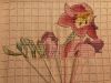 85F74140-09D2-4A92-AC9E-8154BE375217.jpeg