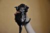 9605791C-C4BF-46A8-9697-D3E7BFD4655A.thumb.jpeg.c287ede6e7e0e21fdb8183fc544df2c6.jpeg