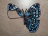 Butterfly6-3.thumb.JPG.4940f01b73fe082ab4214ac0345112dc.JPG