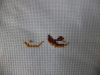 DSC05548.thumb.JPG.02b225d9f3974be407cfd5000b1ae5af.JPG