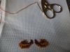DSC05550.thumb.JPG.4a8925542506426b82bbdfe59b5f8cd1.JPG