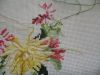 DSC08420.thumb.JPG.1312828330cf5114bce8cd90653d9a57.JPG