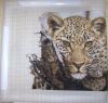DSC08432.thumb.JPG.4d45c336c6137538eb4bcb33129edcde.JPG