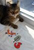 DSC08955.thumb.JPG.b53394989e5d02b8ed7cedf912cdf411.JPG