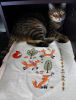 DSC08980.thumb.JPG.e855366be964498723e805c82fff6d76.JPG