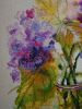 DSCN2992.thumb.JPG.8066f606dcf55c5e1ddb374dab58b979.JPG