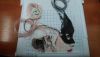 DSC_0004.thumb.JPG.10cbbb8a7708e2e5d23eb3be09634753.JPG
