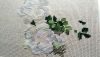 DSC_0034.thumb.JPG.e40d0e496c928358fc6a043f0c677626.JPG