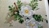 DSC_0035.thumb.JPG.1a87130b59358c073553f2a377bf85d5.JPG