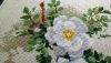DSC_0036.thumb.JPG.40e04a6521156e54344e890b4bf1eab7.JPG