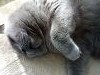 DSC_0357.thumb.JPG.767dc6512ca86489acaa807914eee1f8.JPG?1538913878614