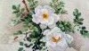 DSC_0367.thumb.JPG.e6f5372020d8cfc80c0eb321bd122737.JPG?1538913819895
