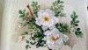 DSC_0369.thumb.JPG.98c12080477fb1ea5c3a0f0d8dbfcd43.JPG?1538913839881