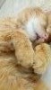 DSC_0371.thumb.JPG.2cd0347780febca7547e1ea04ce4d879.JPG?1538913893162