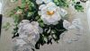 DSC_0375.thumb.JPG.acfda234a26a7ae79c508c986e27c846.JPG