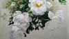 DSC_0376.thumb.JPG.303732563fefa3c5736c8ace2917d59b.JPG
