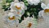 DSC_0377.thumb.JPG.591c593cc69f7ec92bc64548aaaca7d8.JPG