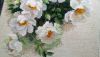 DSC_0380.thumb.JPG.bc4b2c0f8a4921c488c3af2ae5472f06.JPG