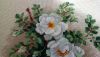 DSC_0386.thumb.JPG.b51e6eee675d32df164fbedede578cf8.JPG