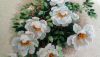 DSC_0388.thumb.JPG.fba663e8fd9cb06b47e8b6dbb383acc8.JPG