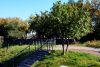 DSC_0423.thumb.JPG.e969ba62b865ea8ea4f66cf11eafd154.JPG