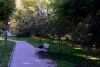 DSC_0424.thumb.JPG.49ed142fa37ec3ec9892643163f4f186.JPG