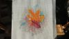 DSC_0849.thumb.JPG.8c46b61d0a88d03fc6e7f31aefcd2c19.JPG