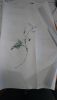 DSC_0856.thumb.JPG.71c3069da21f7e78c0d3f3f9332b1b14.JPG