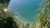 DSC_1165.thumb.JPG.ea3776c2ac854de8859bb9970301c78a.JPG