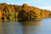 DSC_18081.thumb.JPG.b79ca2a76c6c8a4772418f840fe93d81.JPG