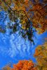DSC_1881.thumb.JPG.b1d9ca35e0d7c04a91af13d6b50e7301.JPG
