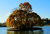DSC_1883.thumb.JPG.aec2cbba54293b2e50f1f965c506b5f1.JPG