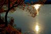 DSC_1906.thumb.JPG.3934adcb02ed763623634327f36b2d6e.JPG