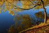DSC_1908.thumb.JPG.fff35420e9f38a3ead089142cd4c1428.JPG