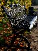 DSC_1987.thumb.JPG.bb48599030473f115095472f43b530db.JPG