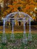 DSC_2022.thumb.JPG.f7c04dedd6ea8647e7c994ebfbf39868.JPG