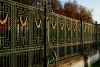 DSC_2042.thumb.JPG.6bd88f5d13a9fbe698a780db5f358843.JPG