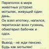 IMG-20180814-WA0000.thumb.jpg.f25ae9ca79be16dd1dcf46584743ff51.jpg