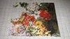IMG-20181007-WA0003.thumb.jpeg.cdab494f94acc56e291e29d5a466d439.jpeg?1539095200688