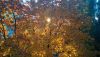 IMG-20181012-WA0002.thumb.jpg.d713556d96a8b4985dee4ac49393f45e.jpg