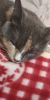 IMG-20181012-WA0022.thumb.jpeg.7011d620f77b780ec25c4e22c552c9b2.jpeg