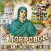 IMG-20181014-WA0002.thumb.jpg.e8ae4229b35f58a4ec244aad199a3379.jpg